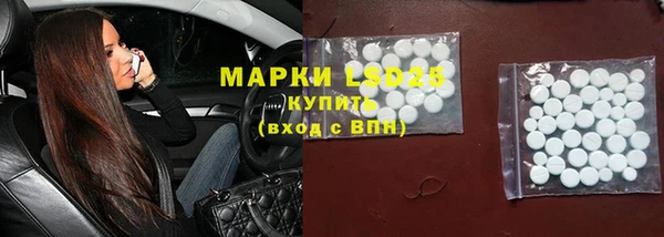 apvp Кукмор
