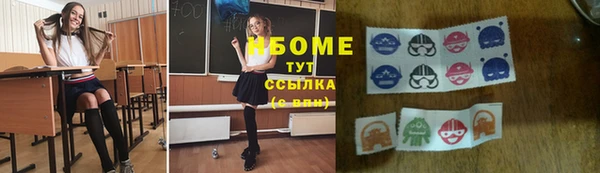 apvp Кукмор