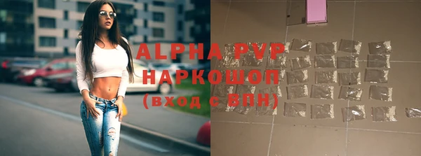 apvp Кукмор