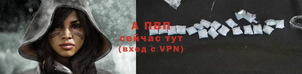 apvp Кукмор