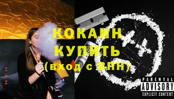 прущие грибы Кулебаки