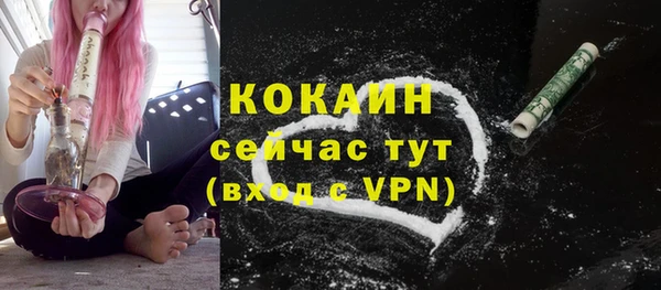 прущие грибы Кулебаки