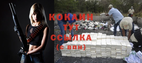 apvp Кукмор