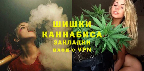 сатива Мурманск