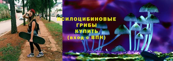прущие грибы Кулебаки