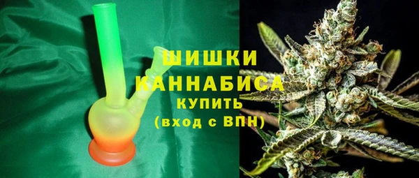 прущие грибы Кулебаки